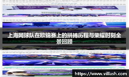mk体育官网